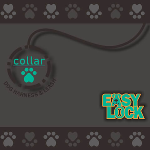 Pet collar gift box design