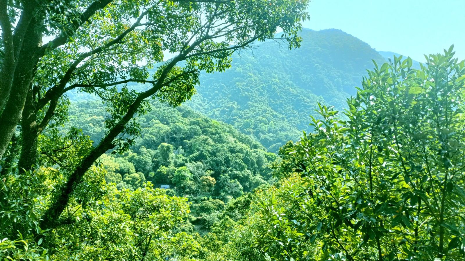 Wutong Mountain Scenic Spot in Shenzhen